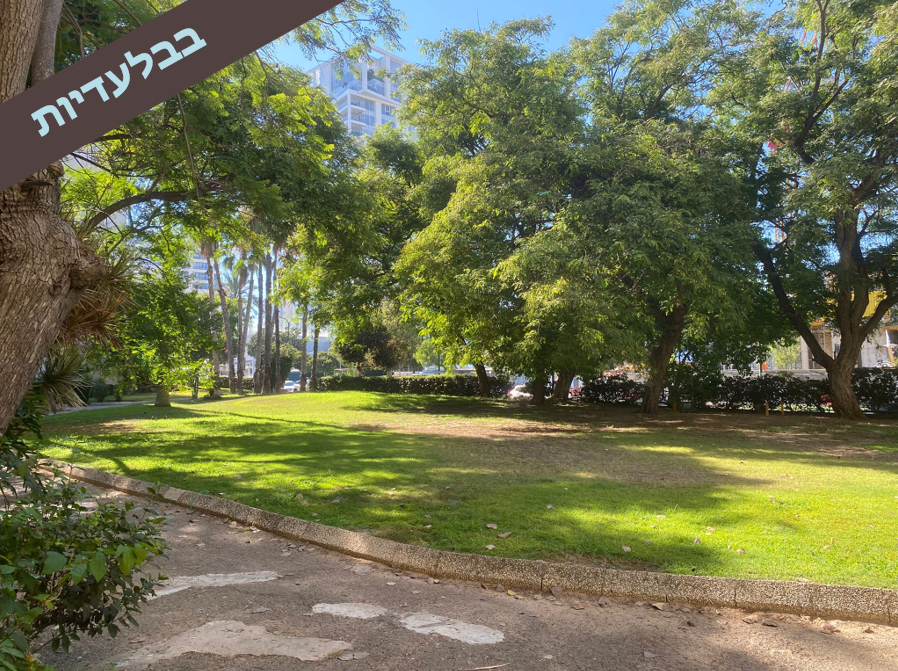 מהסמארטפון שלי
